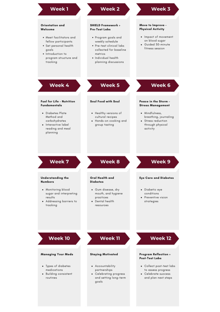 The SHIELD program week-by-week overview chart