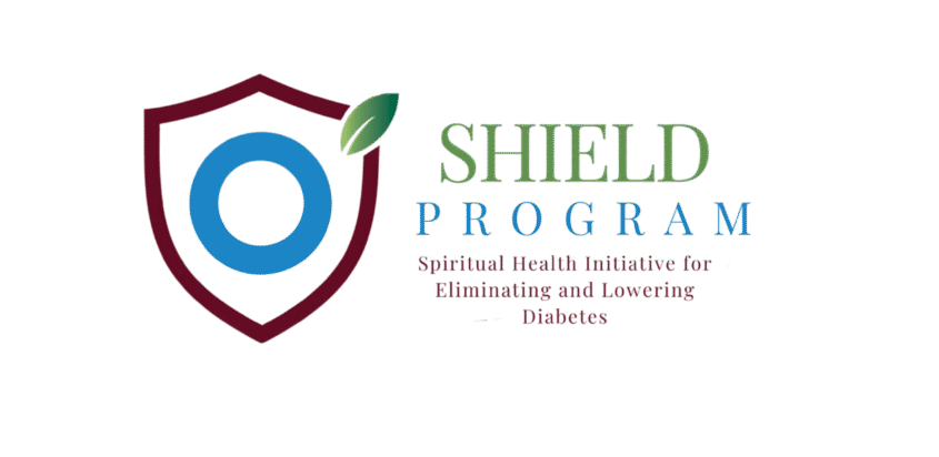 SHIELD Program