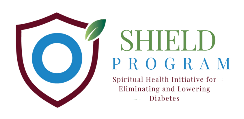 Shield Program Logo